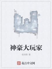 神豪打游戏的