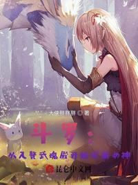 从斗罗赘婿
