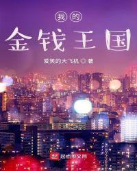 我的金钱王国赵辉免费阅读