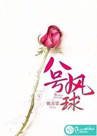 八号风球完整版